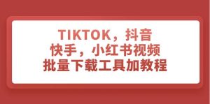 TIKTOK，抖音，快手，小红书视频批量下载工具加教程白米粥资源网-汇集全网副业资源白米粥资源网