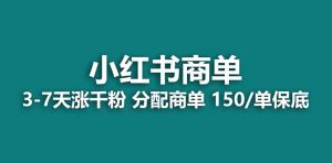 【蓝海项目】2023最强蓝海项目,小红书商单项目,没有之一!白米粥资源网-汇集全网副业资源白米粥资源网