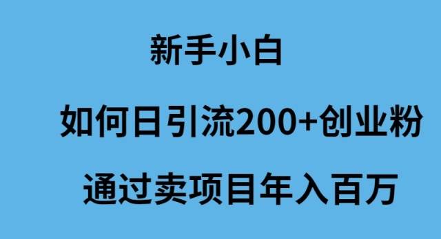 新手小白如何日引流200+创业粉通过卖项目年入百万白米粥资源网-汇集全网副业资源白米粥资源网