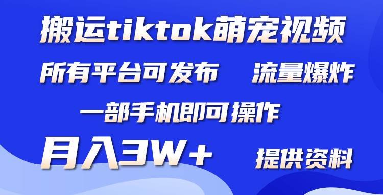 搬运Tiktok萌宠类视频，一部手机即可。所有短视频平台均可操作，月入3W+白米粥资源网-汇集全网副业资源白米粥资源网