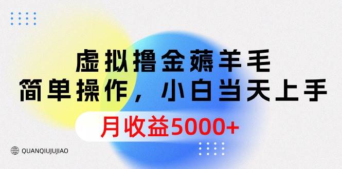 虚拟撸金薅羊毛，简单操作，小白当天上手，月收益5000+白米粥资源网-汇集全网副业资源白米粥资源网