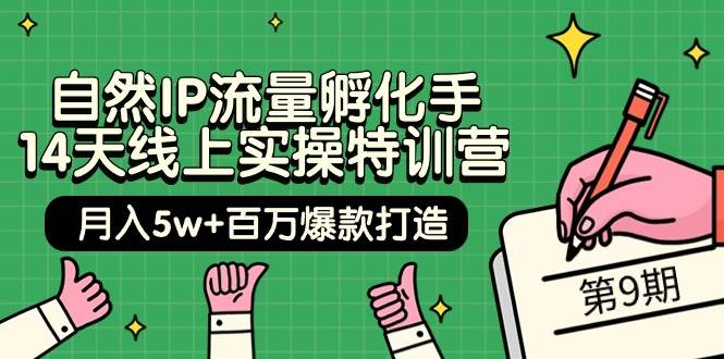 自然IP流量孵化手 14天线上实操特训营【第9期】月入5w+百万爆款打造 (74节)白米粥资源网-汇集全网副业资源白米粥资源网