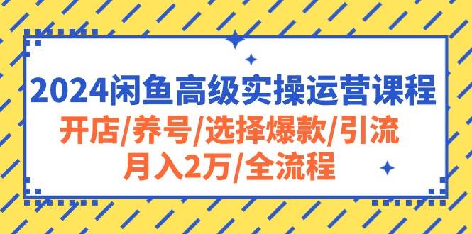 2024闲鱼高级实操运营课程：开店/养号/选择爆款/引流/月入2万/全流程白米粥资源网-汇集全网副业资源白米粥资源网