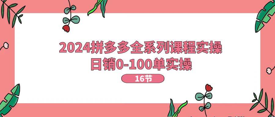 2024拼多多全系列课程实操，日销0-100单实操【16节课】白米粥资源网-汇集全网副业资源白米粥资源网