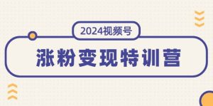 2024视频号-涨粉变现特训营：一站式打造稳定视频号涨粉变现模式（10节）白米粥资源网-汇集全网副业资源白米粥资源网