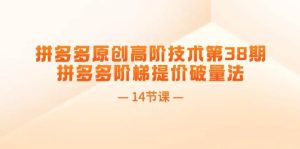 拼多多原创高阶技术第38期，拼多多阶梯提价破量法（14节课）白米粥资源网-汇集全网副业资源白米粥资源网