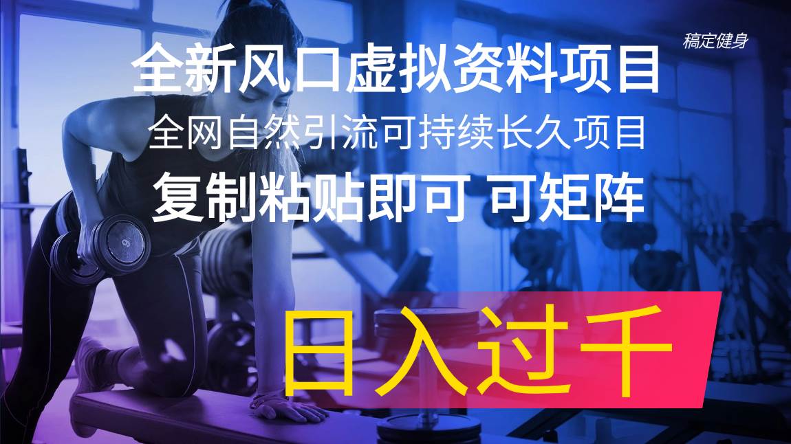 全新风口虚拟资料项目 全网自然引流可持续长久项目 复制粘贴即可可矩阵…白米粥资源网-汇集全网副业资源白米粥资源网