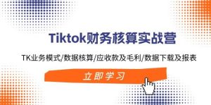 Tiktok财务核算实战营：TK业务模式/数据核算/应收款及毛利/数据下载及报表白米粥资源网-汇集全网副业资源白米粥资源网