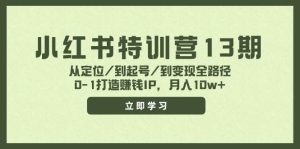 小红书特训营13期,从定位/到起号/到变现全路径,0-1打造赚钱IP,月入10w+白米粥资源网-汇集全网副业资源白米粥资源网