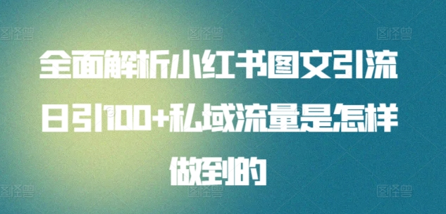 全面解析小红书图文引流日引100私域流量是怎样做到的白米粥资源网-汇集全网副业资源白米粥资源网