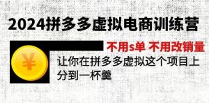 2024拼多多虚拟电商训练营 不s单 不改销量  做虚拟项目分一杯羹(更新10节)白米粥资源网-汇集全网副业资源白米粥资源网