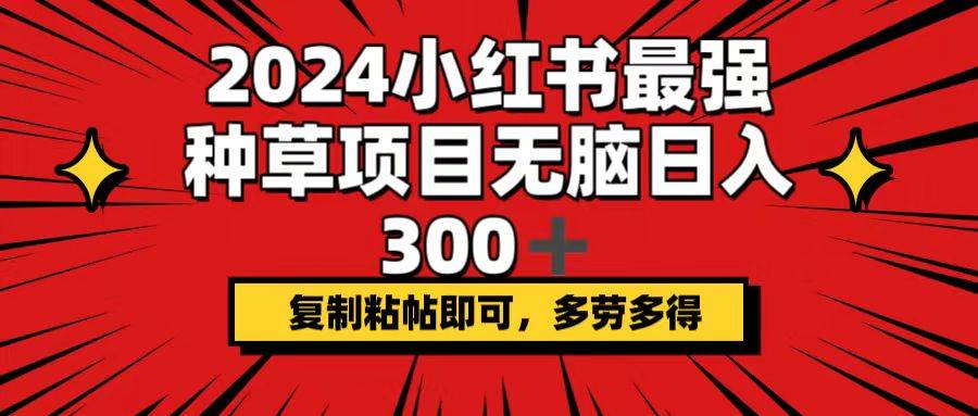 2024小红书最强种草项目，无脑日入300+，复制粘帖即可，多劳多得白米粥资源网-汇集全网副业资源白米粥资源网