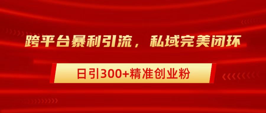 跨平台暴力引流，私域完美闭环，日引300+精准创业粉白米粥资源网-汇集全网副业资源白米粥资源网