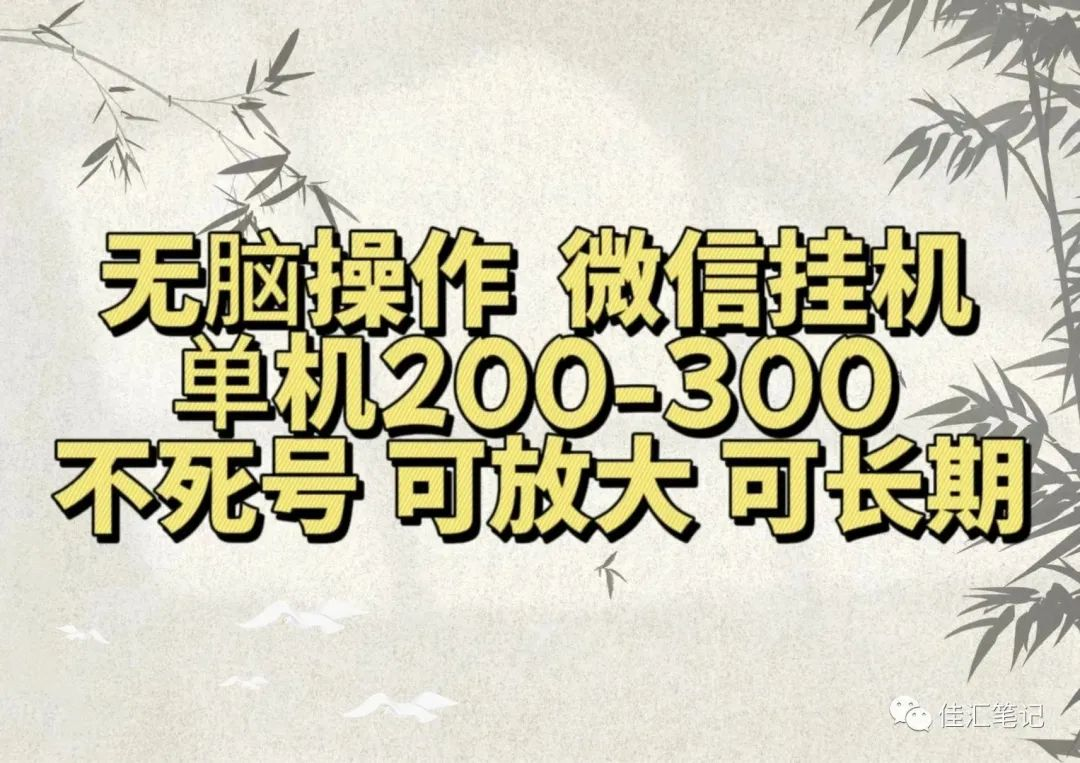 无脑操作微信视频号挂机单机200-300一天，不死号，可放大，工作室实测白米粥资源网-汇集全网副业资源白米粥资源网