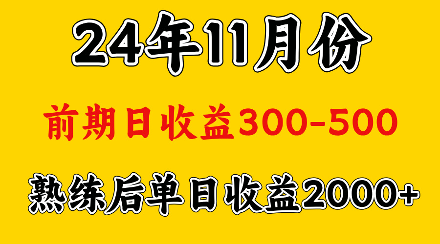 轻资产项目，前期日收益500左右，后期日收益1500-2000左右，多劳多得白米粥资源网-汇集全网副业资源白米粥资源网