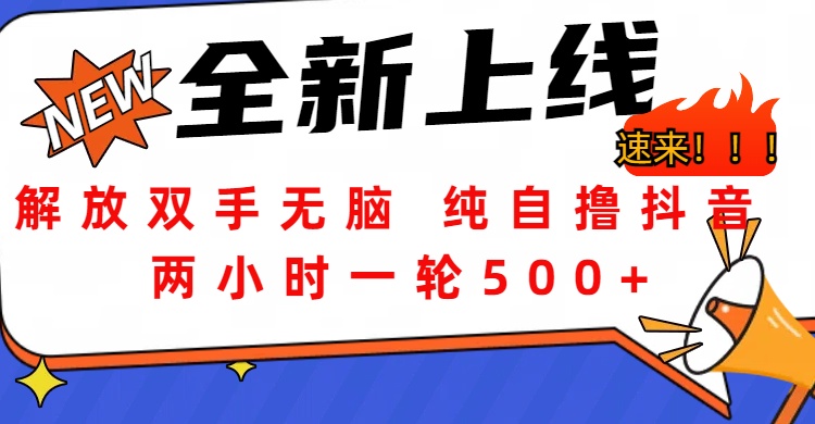 解放双手无脑 纯自撸抖音 两小时一轮500+白米粥资源网-汇集全网副业资源白米粥资源网