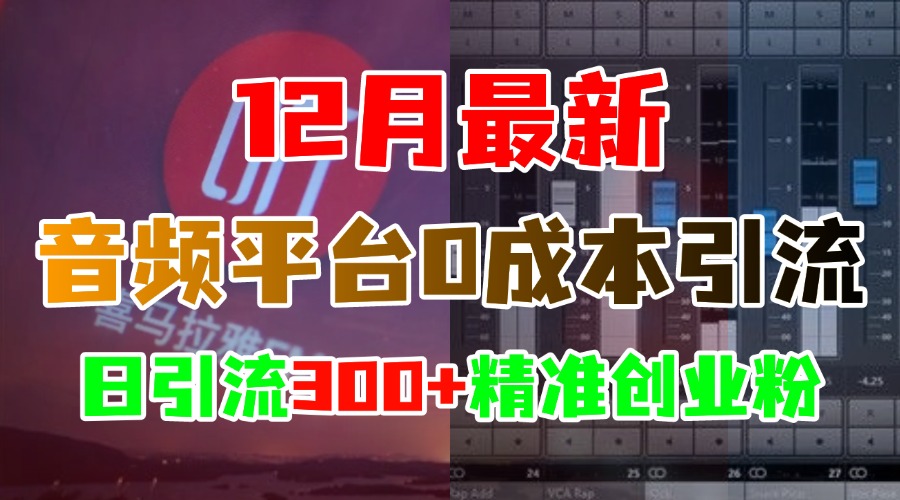 12月最新：音频平台0成本引流，日引300+精准创业粉白米粥资源网-汇集全网副业资源白米粥资源网