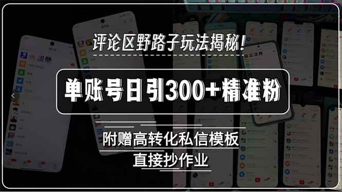 （15466期）评论区野路子玩法揭秘！单账号日引300+精准粉，附赠高转化私信模板，直…白米粥资源网-汇集全网副业资源白米粥资源网