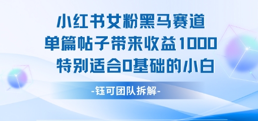 小红书女粉黑马赛道单篇帖子带来收益1k+，特别适合0基础的小白白米粥资源网-汇集全网副业资源白米粥资源网