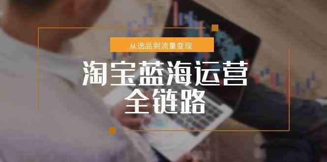 淘宝蓝海运营全链路，从选品到流量变现，小类目突围完整方案白米粥资源网-汇集全网副业资源白米粥资源网