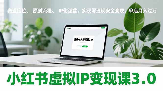 （17029期）小红书虚拟IP变现课3.0，赛道定位、原创流程、IP化运营，实现零违规安全变现，单店月入过万白米粥资源网-汇集全网副业资源白米粥资源网