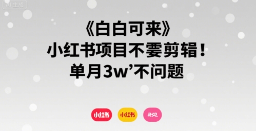 小白可来 小红书项目不需要剪辑 单月3w不是问题白米粥资源网-汇集全网副业资源白米粥资源网