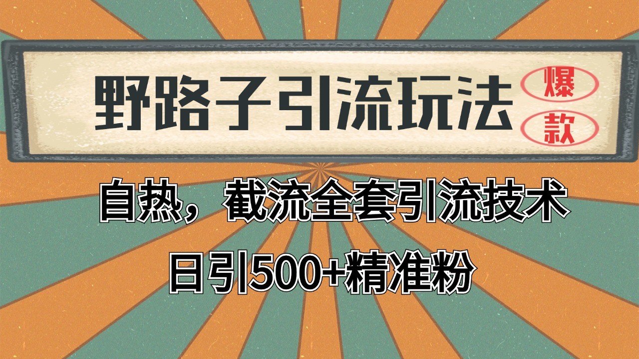 2024首发野路子引流玩法截流自热全平台打法，全自动引流【日引2000+精准客户】白米粥资源网-汇集全网副业资源白米粥资源网