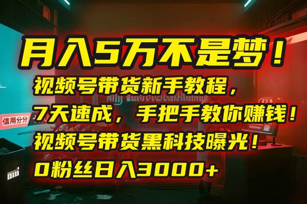 （15595期）月入5万不是梦！视频号带货新手教程，7天速成，手把手教你赚钱！视频号…白米粥资源网-汇集全网副业资源白米粥资源网