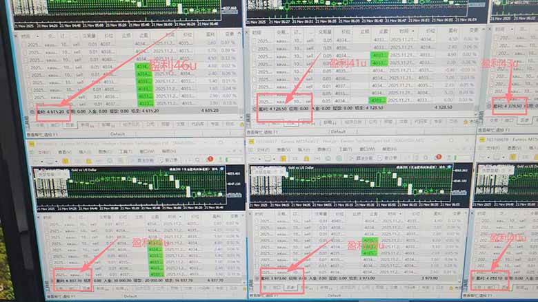（16653期）2025超前美金自动量化！单人单日收益1000+，线下学习，支持实地考察白米粥资源网-汇集全网副业资源白米粥资源网