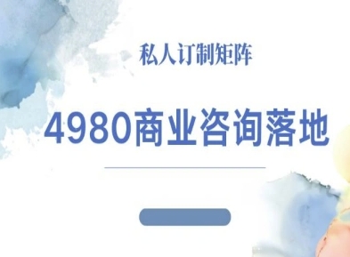 4980商业咨询师落地课程-ip运营高客单教程白米粥资源网-汇集全网副业资源白米粥资源网