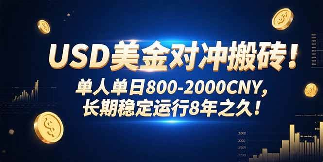 （15551期）USD美金对冲搬砖!单人单日800-2000CNY，长期稳定运行8年之久!白米粥资源网-汇集全网副业资源白米粥资源网