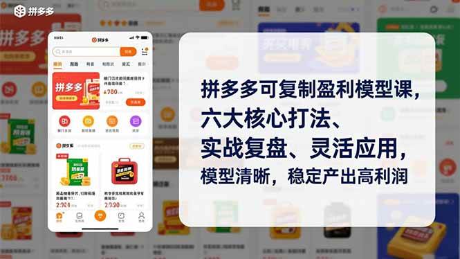 （16952期）拼多多可复制盈利模型课，六大核心打法、实战复盘、灵活应用，模型清晰，稳定产出高利润白米粥资源网-汇集全网副业资源白米粥资源网