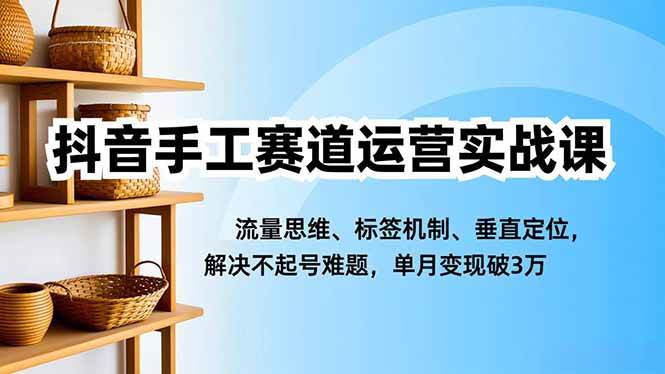 （16667期）抖音手工赛道运营实战课，流量思维、标签机制、垂直定位，解决不起号难题，单月变现破3万白米粥资源网-汇集全网副业资源白米粥资源网