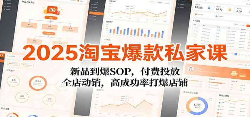 2025淘宝爆款私家课：新品到爆SOP，付费投放，全店动销，高成功率打爆店铺白米粥资源网-汇集全网副业资源白米粥资源网
