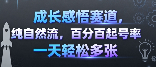 成长感悟赛道，纯自然流，百分百起号率 一天轻松多张白米粥资源网-汇集全网副业资源白米粥资源网