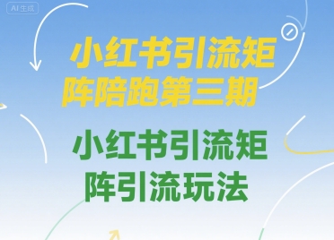 小红书引流矩阵陪跑第三期，小红书引流矩阵引流玩法白米粥资源网-汇集全网副业资源白米粥资源网