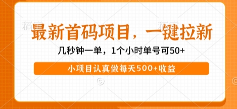 最新首码项目，操作最简单，收益高，一键拉新，1个小时单号可50+，小项目认真做每天5张+收益【揭秘】白米粥资源网-汇集全网副业资源白米粥资源网