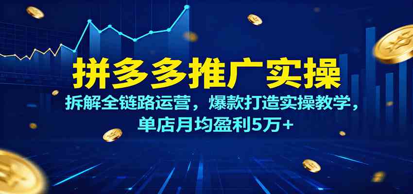 拼多多推广实操，拆解全链路运营，爆款打造实操教学，单店月均盈利5万+白米粥资源网-汇集全网副业资源白米粥资源网