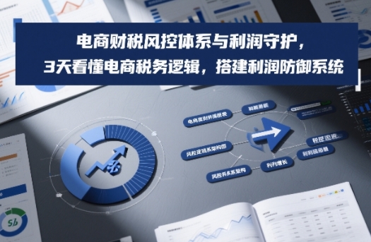 电商财税风控体系与利润守护，3天看懂电商税务逻辑，搭建利润防御系统白米粥资源网-汇集全网副业资源白米粥资源网