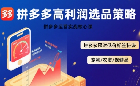 拼多多选品暴利技术实战课，拼多多高利润选品策略，拼多多限时低价标签秘诀白米粥资源网-汇集全网副业资源白米粥资源网