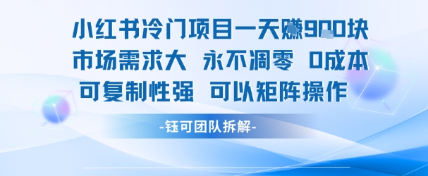 小红书冷门项目一天收益9张，市场需求大，0成本，可复制性强可以矩阵操作白米粥资源网-汇集全网副业资源白米粥资源网