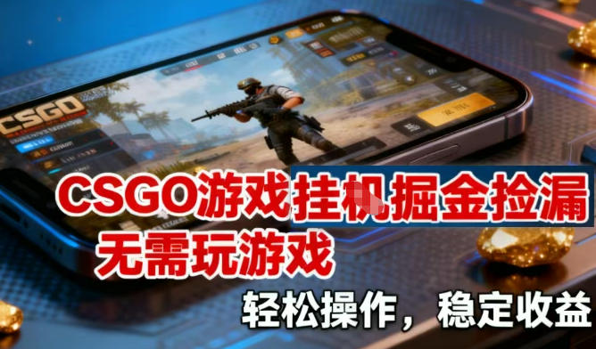 CSGO游戏挂G掘金捡漏，不需要玩游戏，操作简单，收益稳定【揭秘】白米粥资源网-汇集全网副业资源白米粥资源网