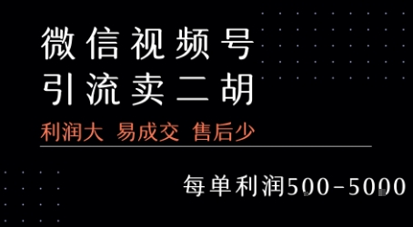 视频号卖二胡教程，利润大 易成交 售后少，一单利润5张+白米粥资源网-汇集全网副业资源白米粥资源网