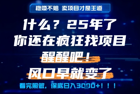 什么？25年你还在疯狂找项目做，醒醒吧，看完这些你全都懂了！【揭秘】白米粥资源网-汇集全网副业资源白米粥资源网