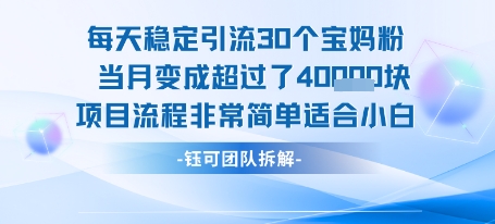 每天稳定引流30个人 当月变成超过了4个W项目流程非常简单适合小白白米粥资源网-汇集全网副业资源白米粥资源网