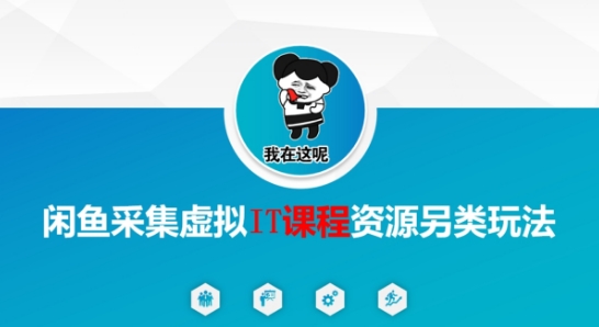 闲鱼采集虚拟IT课程资源另类玩法，干货满满白米粥资源网-汇集全网副业资源白米粥资源网