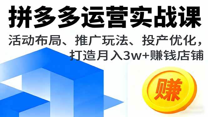 （16135期）拼多多运营实战课，活动布局、推广玩法、投产优化，打造月入3w+赚钱店铺白米粥资源网-汇集全网副业资源白米粥资源网