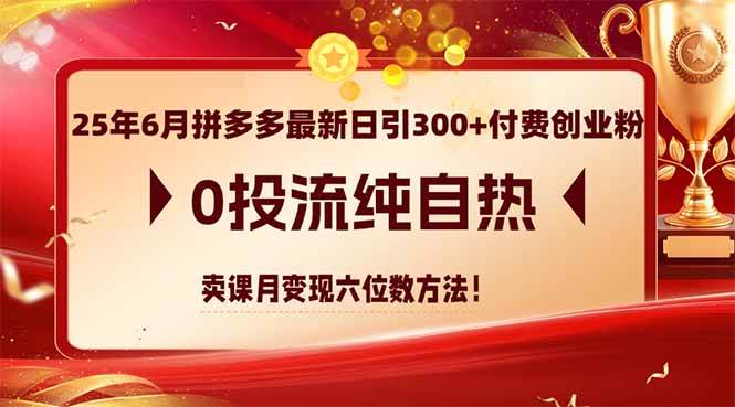 （14989期）25年6月拼多多最新日引300+付费创业粉，0投流纯自热 卖课月变现六位数方法白米粥资源网-汇集全网副业资源白米粥资源网
