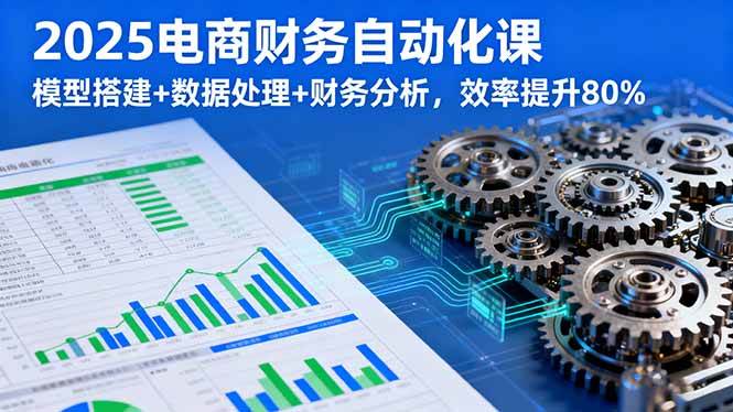 （16021期）2025电商财务自动化课，模型搭建+数据处理+财务分析，效率提升80%白米粥资源网-汇集全网副业资源白米粥资源网