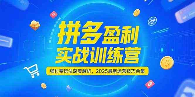 拼多多盈利实战训练营，强付费玩法深度解析，2025最新运营技巧合集白米粥资源网-汇集全网副业资源白米粥资源网